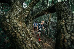 BIB: 
                            <button type="button" onclick="openModal(25392513)" class="btn btn-primary btn-sm float-right btn-popup" data-toggle="modal" data-target=".modal-high-quality">
                        <i class="fas fa-shopping-cart"></i> Add to Cart
                    </button>
                                            <button type="button" onclick="isThisMe(25392513, true)" class="btn btn-success btn-sm float-right btn-popup btn-isme hidden" data-toggle="tooltip" data-placement="bottom" title="นี่คือรูปของคุณใช่ไหม คลิกที่นี่เพื่อเอาเข้าอัลบั้ม">
                        <i class="fas fa-plus"></i> Add to album
                    </button>
                    <button type="button" onclick="isThisMe(25392513, false)" class="btn btn-warning btn-sm float-right btn-popup btn-isnotme hidden">
                        <i class="fas fa-ban"></i> Remove from album
                    </button>